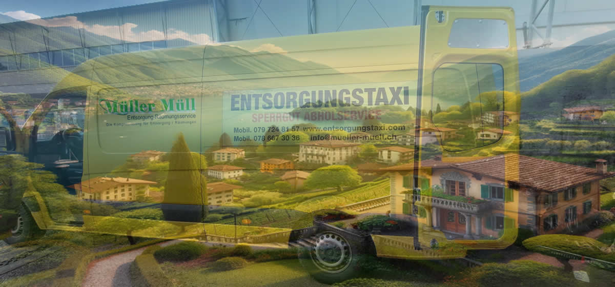 Wohnungsräumung Ronco sopra Ascona
